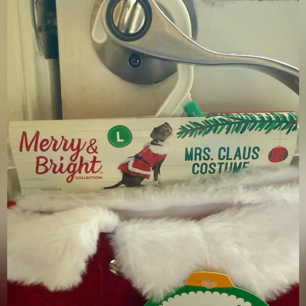 Dog Mrs. Claus costume